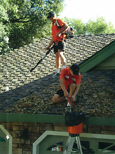 Residential and Commercial Rain Gutter Cleaning Services